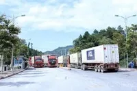 1.587 xe nhập khẩu đã được thông quan tại các cửa khẩu thuộc tỉnh Lạng Sơn trong ngày 11/2.