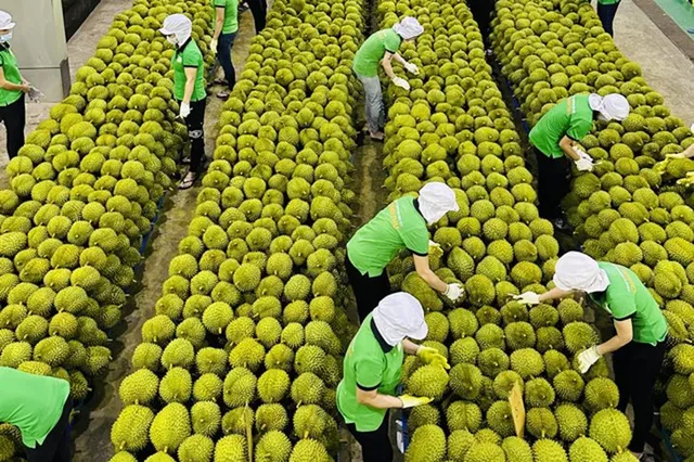 Lưu ý doanh nghiệp giữ đà xuất khẩu sang thị trường trọng điểm 