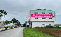 May Sông Hồng (MSH) đặt mục tiêu lãi trước thuế năm 2026 đạt 900 tỷ đồng