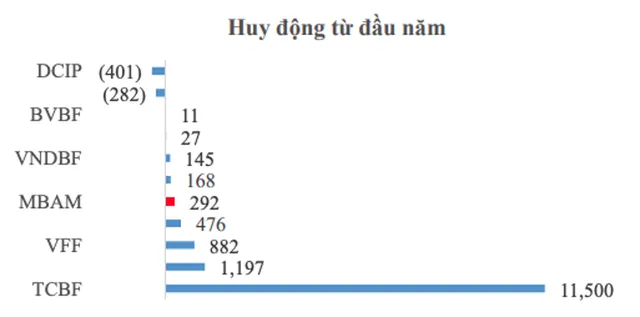 Tình hình huy động vốn năm 2024 của các quỹ trái phiếu trên thị trường