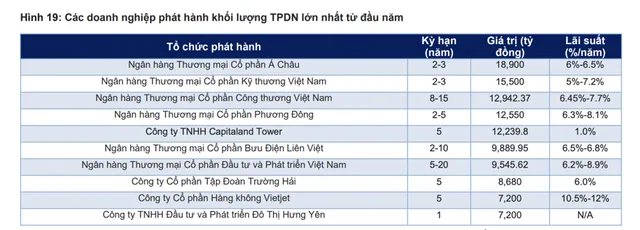 Nhóm doanh nghiệp ngân hàng và bất động sản phát hành trái phiếu doanh nghiệp nhiều nhất trong năm 2023.
