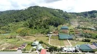Lâm Đồng sẽ xây dựng, hình thành được một số các chính sách, cơ chế ưu đãi đặc thù nhằm thu hút các nhà đầu tư, các nhà khoa học lớn trên thế giới quy tụ về Cao nguyên Di Linh. Ảnh: Linh Đan