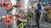 Washington gia tăng sức ép buộc EU đẩy nhanh quá trình tách khỏi khí đốt Nga, đồng thời mở rộng nhập khẩu LNG từ Mỹ, nhằm làm suy yếu nguồn thu của Moskva và củng cố liên minh xuyên Đại Tây Dương (trong ảnh: Trạm nén khí của một hệ thống đường ống dẫn khí ở Leningrad, Nga). Ảnh: TASS/TTXVN