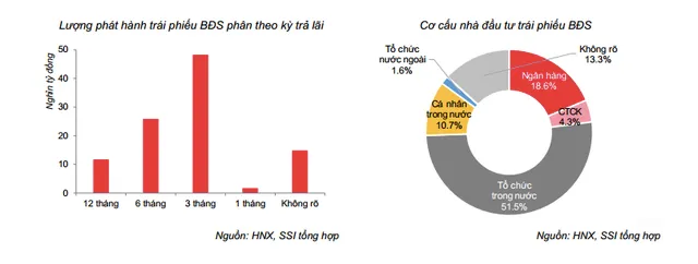 Năm 2020: Trái phiếu bất động sản vẫn nở rộ vì lãi suất hấp dẫn ảnh 1
