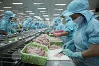 Từ ngày 7/8/2025, Mỹ áp thuế đối ứng 20% với thủy sản Việt Nam