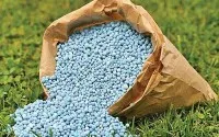 Nga hưởng lợi khi nguồn cung phân bón toàn cầu bị gián đoạn