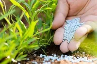 Ngành phân bón đối mặt áp lực giá xuống