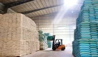 Giá gạo xuất khẩu được dự báo sẽ có diễn biến giảm trong những tháng cuối năm 2024