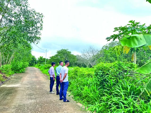 Nhà đầu tư đi săn đất nền vùng ven, nơi có dự án hạ tầng hay các đô thị lớn. Ảnh: Việt Dũng.