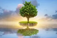 Nhận định thị trường phiên giao dịch ngày 2/2: Duy trì vị thế nắm giữ