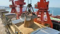 Nhập khẩu đậu tương Mỹ của Trung Quốc chững lại khi tồn kho tăng kỷ lục