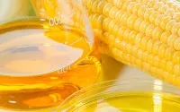 Nhập khẩu đường lỏng sirô ngô - HFCS đang có xu hướng tăng mạnh qua các năm.