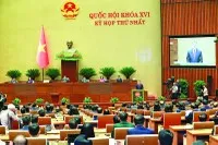 Tân Thủ tướng Chính phủ Lê Minh Hưng phát biểu nhậm chức. Ảnh: Đức Thanh