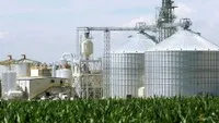 Nhiên liệu sinh học lên ngôi giữa cú sốc năng lượng toàn cầu