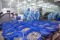 Nhiều doanh nghiệp chốt danh sách tổ chức Đại hội đồng cổ đông thường niên năm 2026