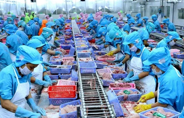 Doanh nghiệp thủy sản bất an vì bị đe doạ