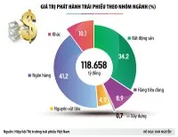Nhộn nhịp phát hành trái phiếu trở lại: Ngân hàng toan tính gì?