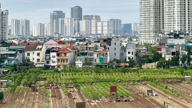 Việc chuyển đổi đất nông nghiệp sang đất ở sẽ không tạo áp lực tài chính lên người dân. Ảnh: Thanh Vũ