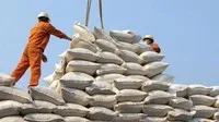 Xuất khẩu gạo Việt Nam 2024 đạt gần 5,7 tỷ USD, riêng 4 thị trường lớn đã nhập 4,2 tỷ USD.