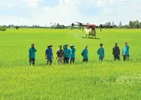 Nông nghiệp Việt đang tạo dựng vị thế vững chắc trên bản đồ nông sản thế giới