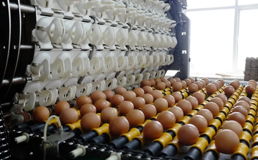 Nông nghiệp Hoà Phát (HPA) chốt quyền trả cổ tức năm 2025 bằng tiền, tỷ lệ 21% 