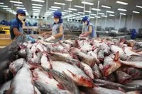 Nửa đầu 2025, Vĩnh Hoàn (VHC) báo lãi sau thuế tăng 39%, đang dự phòng gần 28 tỷ đồng cho đầu tư chứng khoán