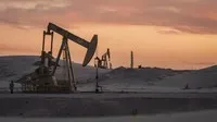 OPEC+ tạm dừng tăng sản lượng trong quý I/2026