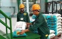 Phân bón Bình Điền (BFC) ước lãi trước thuế năm 2025 giảm 6,7%, đặt kế hoạch 2026 đi lùi