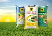 Phân bón Bình Điền (BFC) vượt 47% mục tiêu lợi nhuận năm 2025 sau 9 tháng
