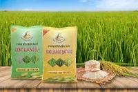 Phân bón Miền Nam (SFG) dự kiến chia cổ tức tiền mặt 5%