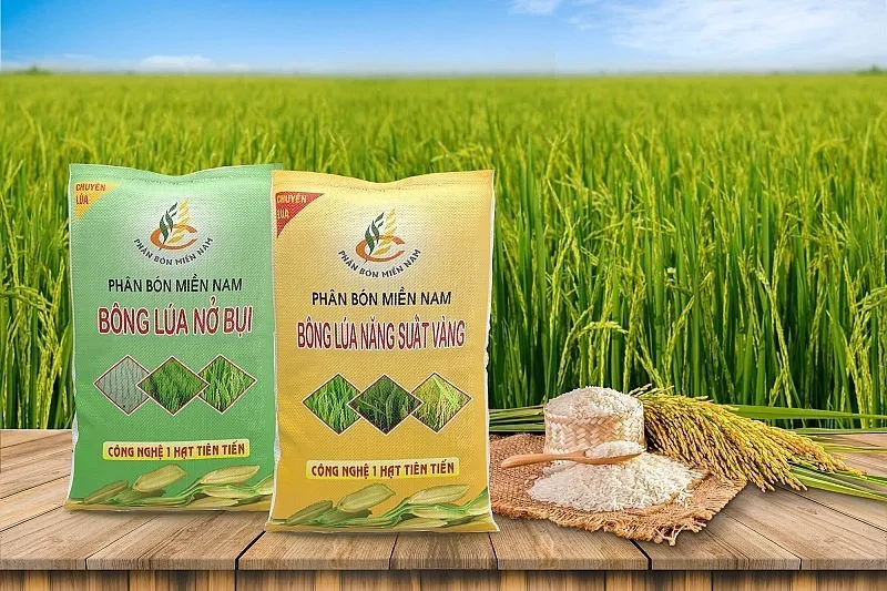 Phân bón Miền Nam (SFG) dự kiến chia cổ tức tiền mặt 5%