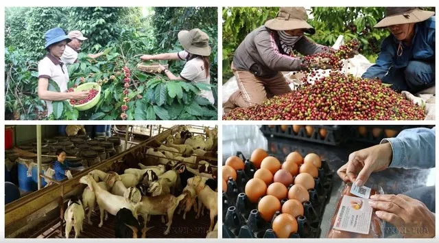 Nhiều mô hình sản xuất kinh doanh mới được hình thành, tạo tiền đề cho phát triển lực lượng sản xuất mới ở nông thôn.