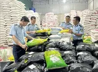 Lực lượng Quản lý thị trường Bắc Ninh tăng cường kiểm tra, xử lý vi phạm về kinh doanh.