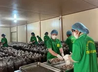 Quảng Trị hiện có nhiều chính sách hỗ trợ cho các doanh nghiệp thúc đẩy mở rộng thị trường, nâng cao năng lực cạnh tranh.