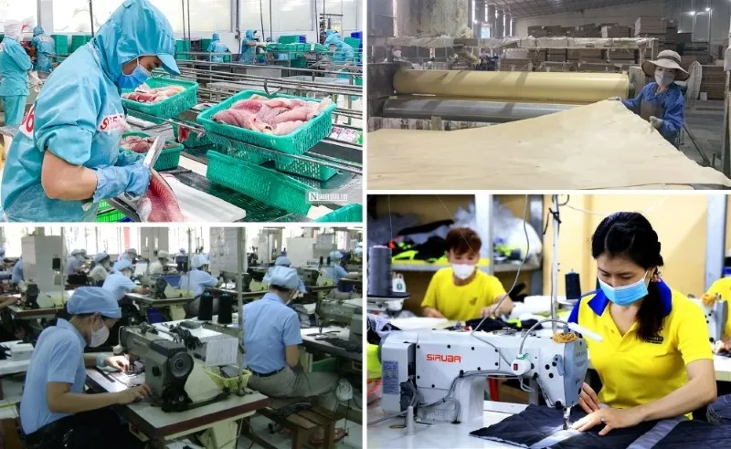 Kinh tế tư nhân là một động lực quan trọng nhất trong nền kinh tế quốc gia. 