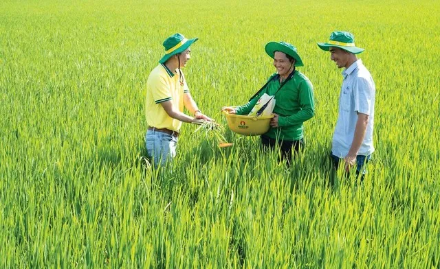 Đầu tư cho R&amp;D, chuyển đổi số để chế biến sâu, tạo ra các sản phẩm mới, sản phẩm có hiệu quả vượt trội, góp phần nâng cao thương hiệu nông sản Việt.