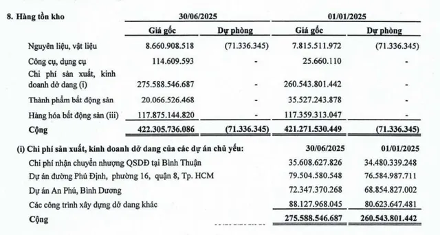 Cơ cấu tồn kho của Saigonres tại thời điểm 30/6/2025.