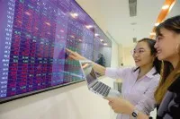 Cổ phiếu “họ Vin” đóng góp khoảng 51% mức tăng của VN-Index trong năm 2025, theo thống kê của FiinTrade.