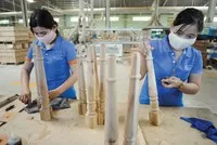Nền sản xuất Việt Nam đang dần lấy lại động lực tăng trưởng