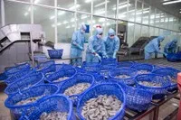 Sao Ta (FMC): Doanh số tháng 10 đạt 26,47 triệu USD, tăng 13,8% so với cùng kỳ