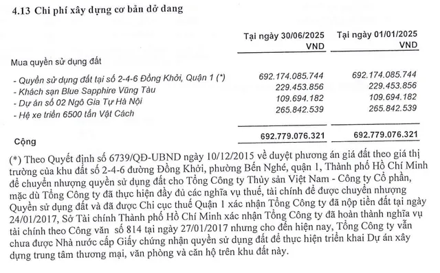 Dự án 2-4-6 Đồng Khởi của Seaprodex là dự án trọng điểm mà Công ty đang sở hữu.