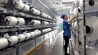 Sợi Thế Kỷ (STK) phát hành gần 43,5 triệu cổ phiếu chia cổ tức, tỷ lệ 100:45