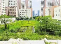 Nhà tái định cư Thủ Thiêm bỏ hoang nhiều năm, cỏ dại mọc um tùm