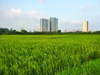 Đất đai là nguồn tài nguyên vô cùng quý giá của mỗi quốc gia, mỗi dân tộc. Ảnh: Dũng Minh.