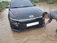 Tập đoàn bảo hiểm DBV tiếp nhận 226 vụ tổn thất do bão số 10
