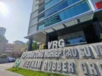 Tập đoàn Cao su Việt Nam (GVR) sắp chi 1.600 tỷ đồng trả cổ tức 2024 trước thềm đại hội bất thường