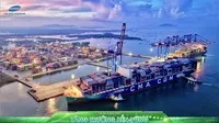 Cảng quốc tế Gemalink, Cảng nước sâu lớn nhất Việt Nam - Top 19 cảng thế giới tiếp nhận cỡ tàu container lớn nhất