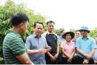 Bộ trưởng Bộ Nông nghiệp và Môi trường Đỗ Đức Duy kiểm tra vùng trồng vải thiều ở Bắc Giang.