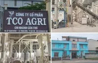 TCO Holding (TCO) muốn rót vốn đầu tư thêm dự án khu phức hợp ngàn tỷ tại Đà Nẵng