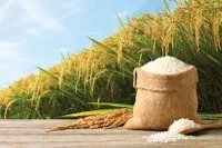 Ngành nông nghiệp Việt Nam có tiềm năng thu hút nguồn vốn xanh rất lớn